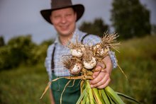 Torsten Müller mit Knoblauchpflanzen in der Hand, Copyright: freshshots.de